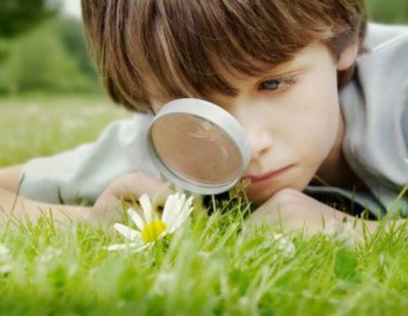 Ragazzo attento alla ntura: la Generazione Z ha molto rispetto della sostenibilità