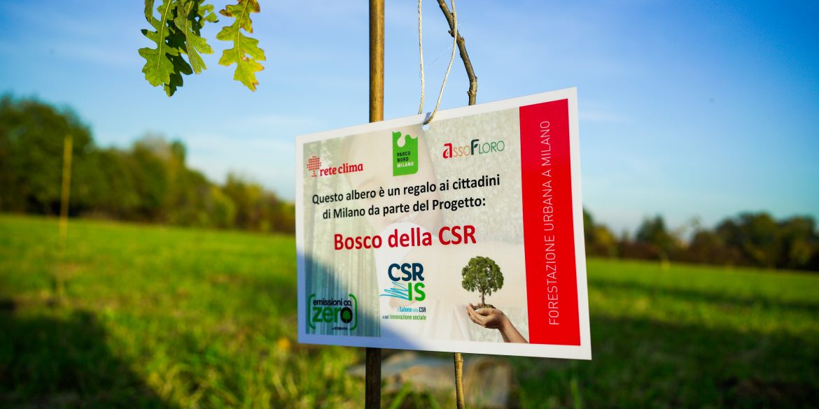 Il Bosco della Csr ha l'obiettivo di assorbire la CO2