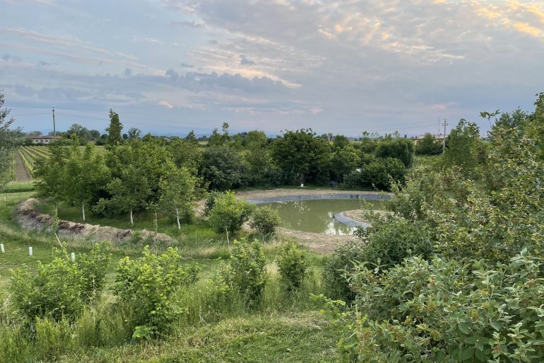 La zona gestita da Terrevive dove verranno piantati alberi